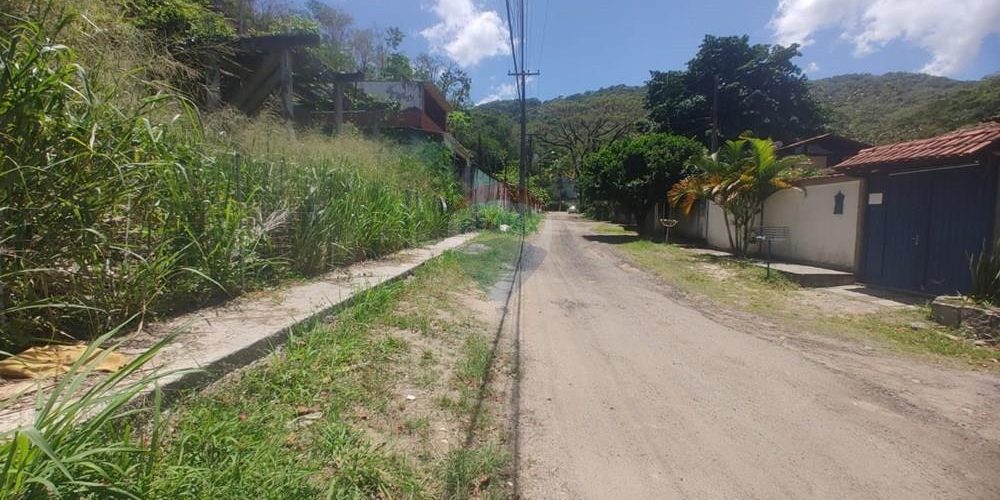 L_065d4d97-8300-4c70-be54-fa4dcccd05f9 (1)