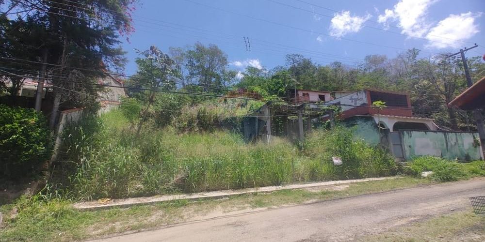 L_4aa1d265-a743-4436-aaab-b12cf741d3e3 (1)