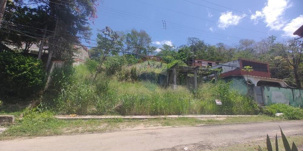 L_764dbba6-5820-4a7d-b4c7-01b95fa38add